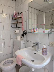 a bathroom with a sink and a toilet and a mirror at Pink Hotel B&B LeLa in Valkenburg +79 photos
