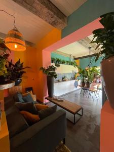 a living room with a couch and potted plants at Plantkot, a cozy apartment full of plants of tinykot in Keerselaar