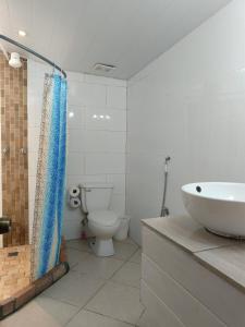 a bathroom with a toilet and a shower and a sink at Vista Boquete Apartments in Bajo Boquete