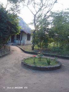 a house with a yard with flowers in front of it at Malombo Selous Forest Camp in Kwangwazi