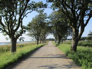 Φυσικό τοπίο κοντά σε αυτή η παραθεριστική κατοικία +16 φωτογραφίες