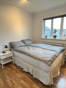 Postel nebo postele na pokoji v ubytování Charming apartment in city of Reykjavik