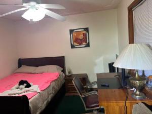 キシミーにあるRed brick houseの寝室のベッドに横たわる犬