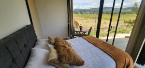 Ένα ή περισσότερα κρεβάτια σε δωμάτιο στο King the Glamp