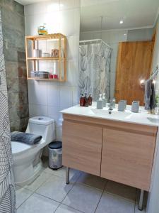 een badkamer met een wastafel, een toilet en een spiegel bij PrideNativo Suites Rapa Nui in Hanga Roa