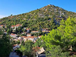 a village on a hill with houses on it at Apartment Starigrad - Senj 1 in Starigrad