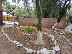 a tree in a garden with rocks around it at Chale com Hidromassagem na Serra do Cipó in Santana do Riacho +20 photos