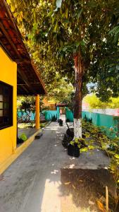 a tree in the middle of a sidewalk next to a building at Pousada 100 passos in Tamandaré