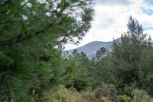 Foto dalla galleria di Cielito Lindo Hotel Boutique 