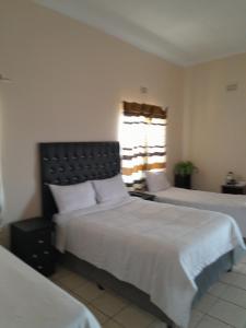 マンジニにあるPalm Tree Guest House, Manziniのギャラリーの写真