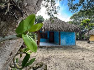 ConhuasにあるCabañas Calakmulの茅葺き屋根の小さな青い建物 +78枚の写真