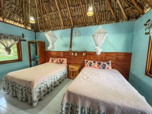 ConhuasにあるCabañas Calakmulの青い壁の部屋にベッドが2つある