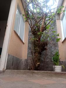 Φωτογραφία από το άλμπουμ του Casa Hotel Atelier στη Μπογκοτά