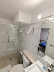 a bathroom with a toilet and a sink and a mirror at LaBelleVue Antigua Oceanview Suites and OnSite Car Rentals in Crosbies