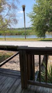 EastgateにあるLakeside Cabin for a Glamping Getaway near Tampa, Floridaの背景にヤシの木がある木製のデッキ +9枚の写真