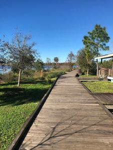 EastgateにあるLakeside Cabin for a Glamping Getaway near Tampa, Floridaの木々のある公園に続く木製の遊歩道