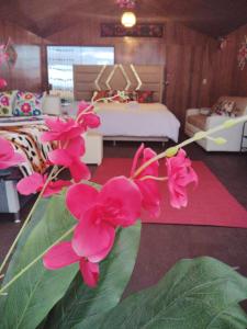 a room with a bed and pink flowers in it at Titikaka Encantos Lodge in Puno