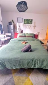 Un dormitorio con una cama verde con un libro. en Cocon Colombes - close to La Défense and Paris, en Colombes