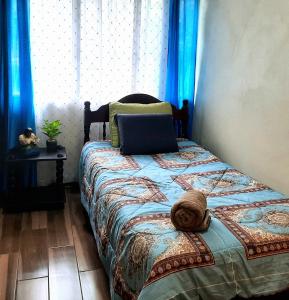 Postel nebo postele na pokoji v ubytování The garden oasis close to SJO airport