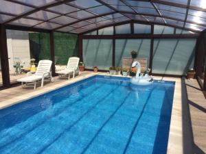 a swimming pool with a swan in the middle at Only adults rural house in Burgos in Barbadillo del Mercado