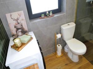 a bathroom with a toilet and a sink at Green Hill Domyslow, 6 persons in Domysłów +18 photos