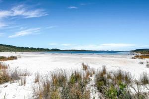 a beach with sand and the ocean in the background at The Shores Lakefront Retreat in Omamari +20 photos