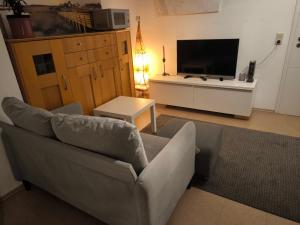 TV a/nebo společenská místnost v ubytování Simple 2-Person Apartment near Altdorf