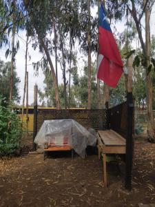 a picnic table and a bench with a flag at Cabaña entre eucaliptos en Huaquén 3D 1B más patio in Guaquen +9 photos