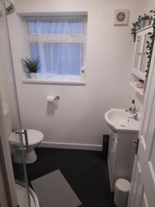 ディドコットにあるGreenviewの洗面台、トイレ、窓のあるバスルーム +17枚の写真