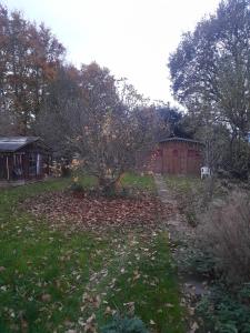 ディドコットにあるGreenviewの芝生に葉が散らばった庭と家