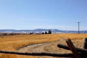 Příroda nedaleko prázdninového domu