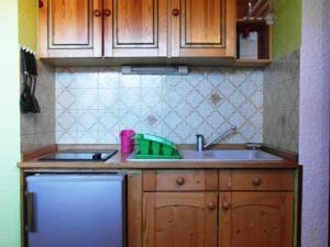 普拉茲德里斯Studio cosy centre Praz de Lys, 100m des pistes - FR-1-815-26的带水槽和冰箱的厨房