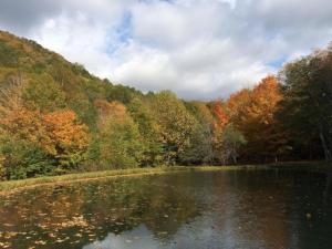 Příroda nedaleko prázdninového domu