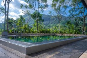 a swimming pool in the middle of a wooden deck at Sinharaja River Lodge in Nikawatawana