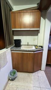 a kitchen with a sink and wooden cabinets at Villa Anto in Encarnación