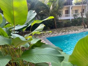 Bazén v ubytování Arohha nebo v jeho okolí