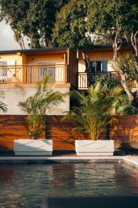 a house with two potted plants in front of a swimming pool at Les Ti Kaz d'Auguste in Les Avirons +65 photos