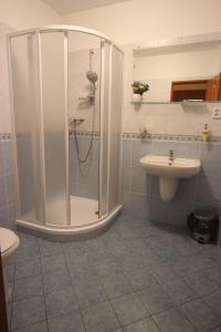 ein Bad mit einer Dusche und einem Waschbecken in der Unterkunft Hotel Pelikán in Třeboň