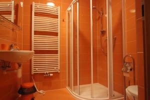 ein Bad mit einer Dusche und einem Waschbecken in der Unterkunft Hotel Pelikán in Třeboň