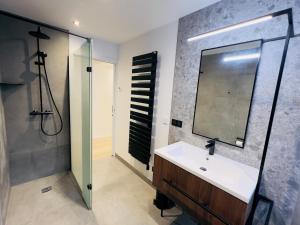 BischoffsheimにあるPetite maison indépendante avec garage attenantの洗面台と鏡のあるバスルーム +9枚の写真