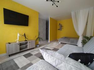 Et tv og/eller underholdning på Уютная однокомнатная квартира в тихом районе