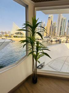 Φυσικό τοπίο κοντά σε αυτό το πλωτό κατάλυμα