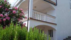 Zahrada ubytování Apartmani Novosel