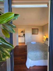 1 dormitorio con 1 cama y una gran planta verde en Sunset on Fearn, lovely 2 bedroom apartment, en Margaret River Town