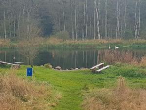a pond with two swans swimming in the water at 6 person holiday home in Ans By in Roe