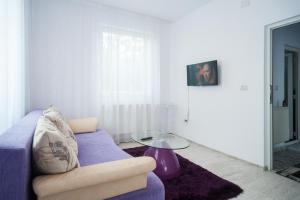 un salon avec un canapé violet et une table dans l'établissement Casa Fermecata, à Vişeu de Sus