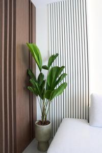 a green plant in a pot next to a bed at Nexa Suite in Komotini