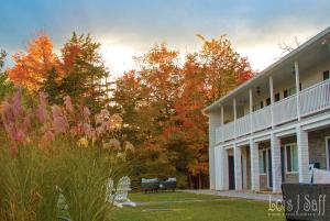 Gallery image of Hotel Dylan in Woodstock