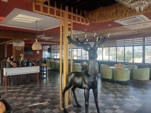 Εστιατόριο ή άλλο μέρος για φαγητό στο Hotel O DUNARA