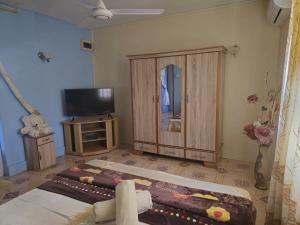 TV a/nebo společenská místnost v ubytování Villa Samuel